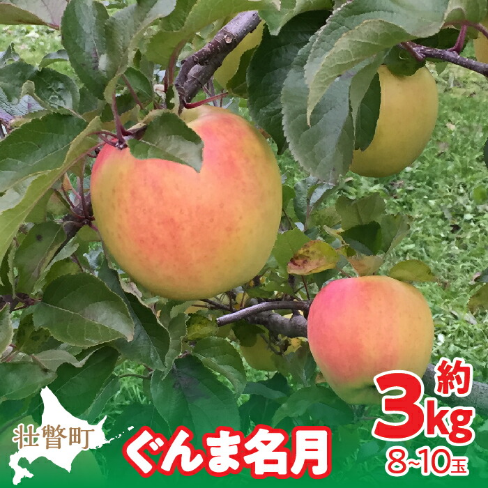 【ふるさと納税】＜2025年11月中旬よりお届け＞ 北海道壮瞥町 りんご 「ぐんま名月」8～10玉約3kg ふるさと納税 人気 おすすめ ランキング りんご リンゴ 林檎 ぐんま名月 甘い 蜜 北海道 壮瞥町 送料無料  SBTF004