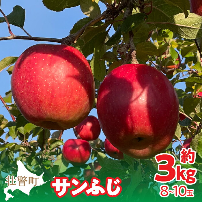 【ふるさと納税】【先行予約】北海道壮瞥町産りんご「サンふじ」約3kg(8～10玉)《2026年12月上旬にお届け》 【 りんご リンゴ 林檎 ふじ サンふじ 蜜入り 5kg ジュース 果物 くだもの フルーツ 送料無料 】 SBTF006｜北海道壮瞥町 7,500円