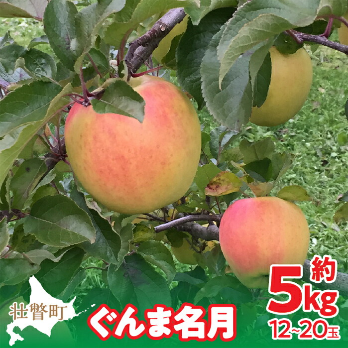 【ふるさと納税】＜2025年11月中旬よりお届け＞北海道壮瞥町 りんご「ぐんま名月」12～20玉約5kg 【 ふるさと納税 人気 おすすめ ランキング りんご リンゴ 林檎 ぐんま名月 甘い 蜜 北海道 壮瞥町 送料無料 】SBTF013