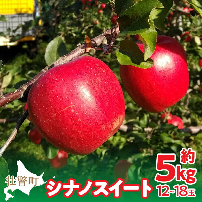 【ふるさと納税】＜2025年10月下旬よりお届け＞北海道壮瞥町 りんご「シナノスイート」12~18玉約5kg 【 ふるさと納税 人気 おすすめ ランキング りんご リンゴ 林檎 シナノスイート 甘い ジューシー 北海道 壮瞥町 送料無料 】 SBTF012