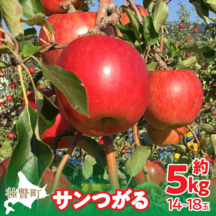 【ふるさと納税】＜2025年9月下旬～10月中旬頃までのお届け＞北海道壮瞥町　りんご　品種名「サンつがる」14~18玉約5kg  【 ふるさと納税 人気 おすすめ ランキング りんご リンゴ 林檎 サンつがる 甘い 北海道 壮瞥町 送料無料 】SBTF010