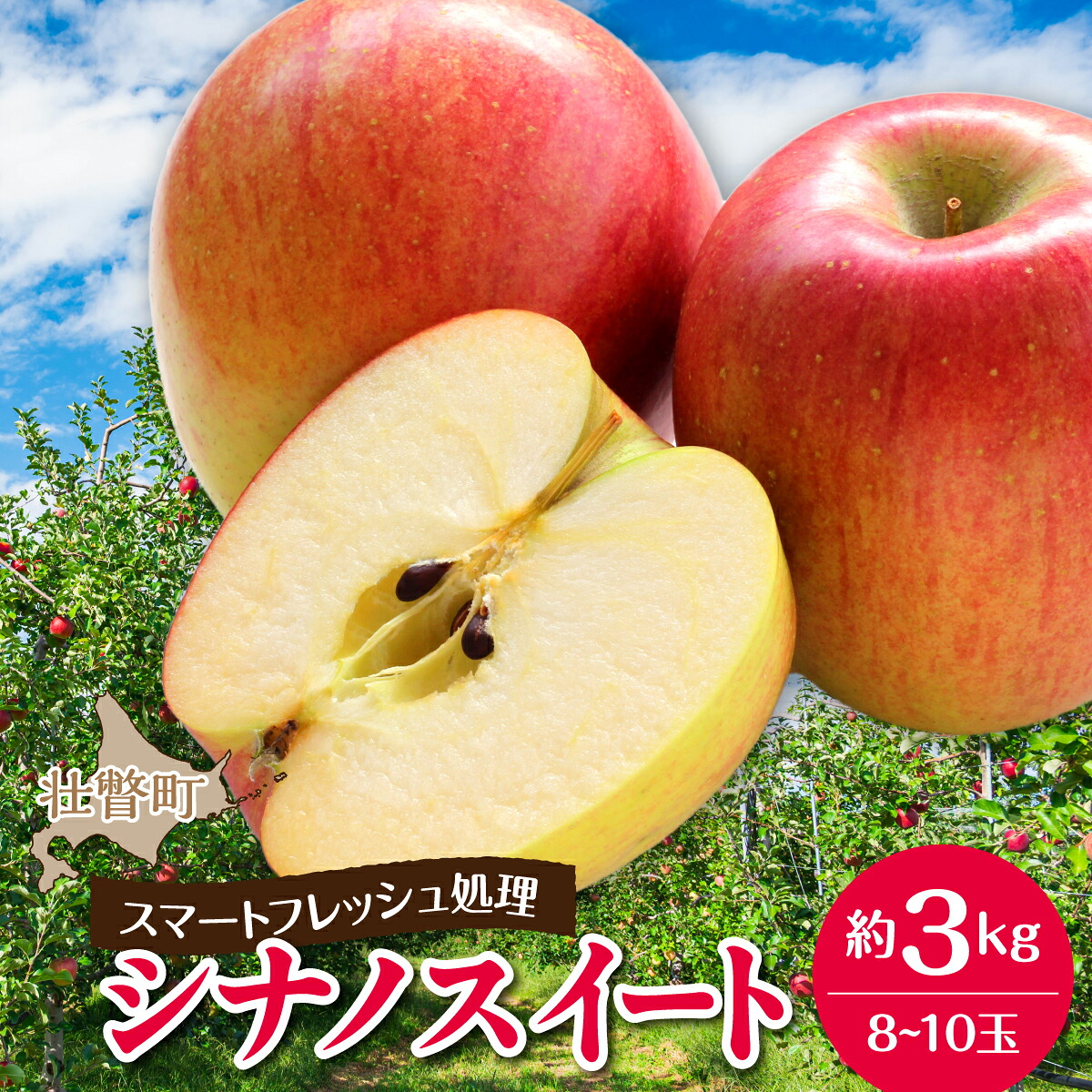 【ふるさと納税】3・4月発送！北海道壮瞥町　りんご(スマートフレッシュ)　品種名「シナノスイート」8～10玉 約3kg　【 ふるさと納税 人気 おすすめ ランキング りんご リンゴ 林檎 シナノスイート 甘い ジューシー 北海道 壮瞥町 送料無料 】SBTF026