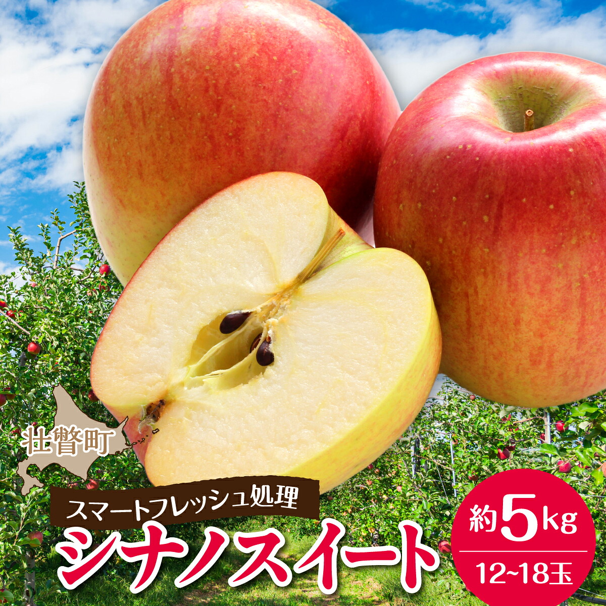 【ふるさと納税】3・4月発送！北海道壮瞥町　りんご(スマートフレッシュ)　品種名「シナノスイート」12～18玉 約5kg　【 ふるさと納税 人気 おすすめ ランキング りんご リンゴ 林檎 シナノスイート 甘い ジューシー 北海道 壮瞥町 送料無料 】SBTF027