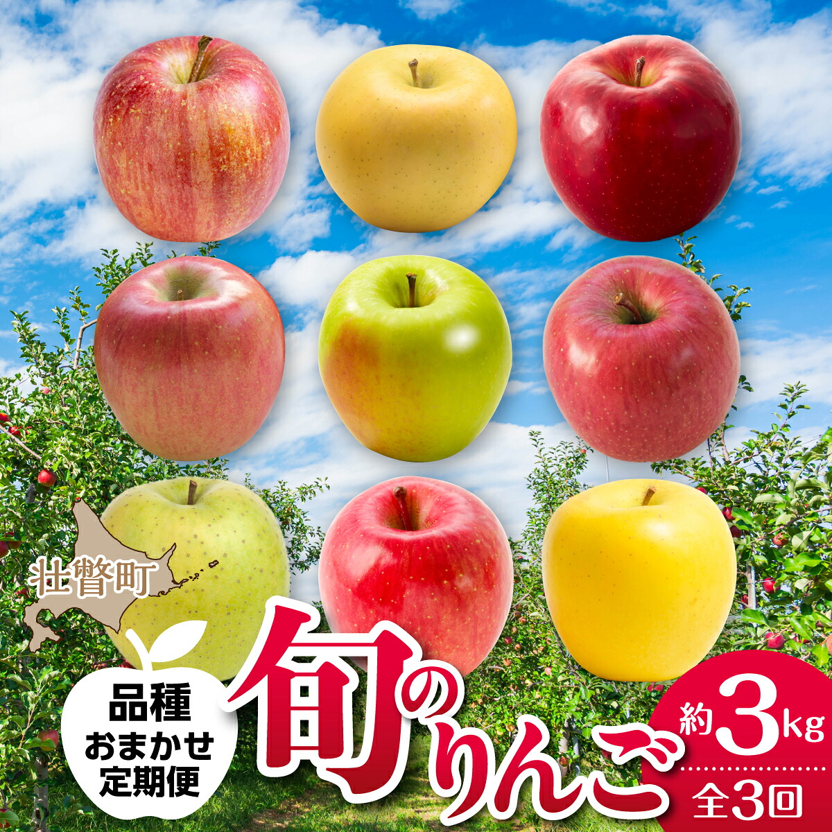 【ふるさと納税】【先行予約】＜10･11･12月お届け＞北海道壮瞥町 旬のりんご 約3kg おまかせ定期便【 りんご リンゴ 林檎 果物 フルーツ 甘い 爽やか 香り 濃厚 北海道産 壮瞥町 数量限定 】SBTF030｜北海道壮瞥町