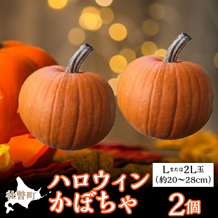 【ふるさと納税】＜2026年10月初旬よりお届け＞ハロウィンかぼちゃ Lまたは2L大きさ玉2個 ふるさと納税 一般受け おすすめ 度合い かぼちゃ 西洋カボチャ 西洋カボチャ 蔬菜 日暈ウィーン ハロウィン かぼちゃ生きすだま 提燈 北海道 壮瞥町 貨物輸送無料 SBTL015