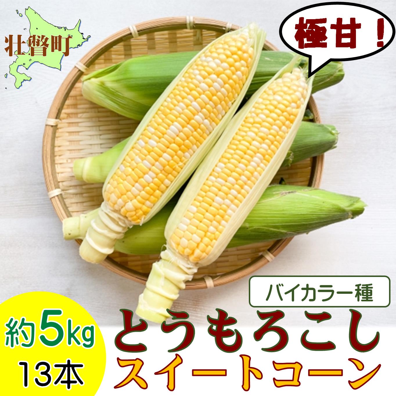 【ふるさと納税】＜2026年8月上旬よりお届け＞北海道壮瞥産 とうもろこし（スイートコーン）13本 約5kg ふるさと納税 人気 おすすめ ランキング トウモロコシ とうもろこし スイートコーン 野菜 甘い 北海道 壮瞥町 送料無料 SBTN001