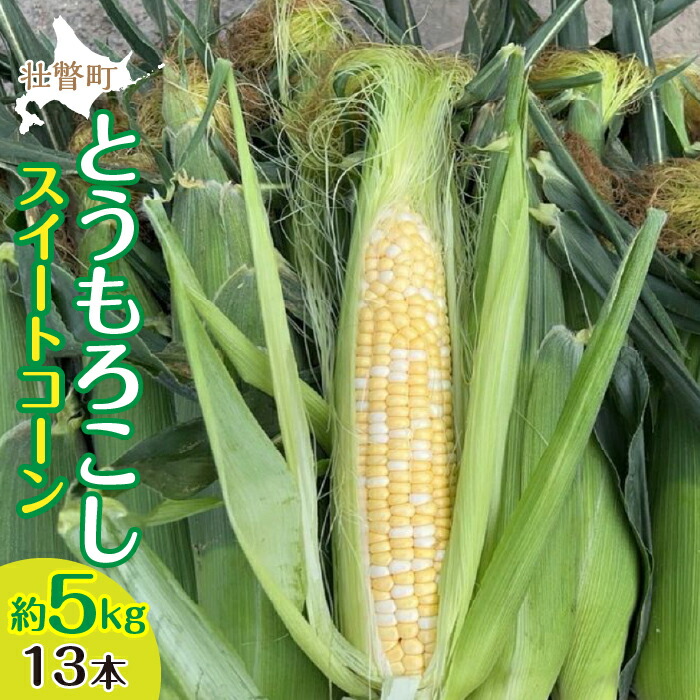 【ふるさと納税】＜2025年8月上旬よりお届け＞北海道壮瞥産 とうもろこし（スイートコーン）13本 約5kg ふるさと納税 人気 おすすめ ランキング トウモロコシ とうもろこし スイートコーン 野菜 甘い 北海道 壮瞥町 送料無料 SBTN001