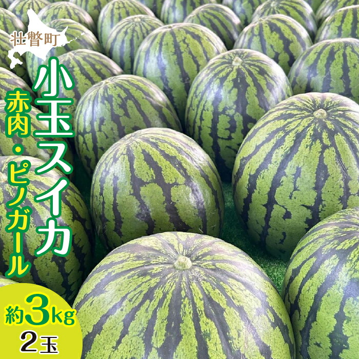 【ふるさと納税】＜2025年8月上旬より順次お届け＞北海道壮瞥産 小玉すいか（赤肉・ピノガール）2玉約3kg スイカ　ふるさと納税 人気 おすすめ ランキング スイカ すいか 西瓜 甘い 小玉 北海道 壮瞥町 送料無料  SBTN004