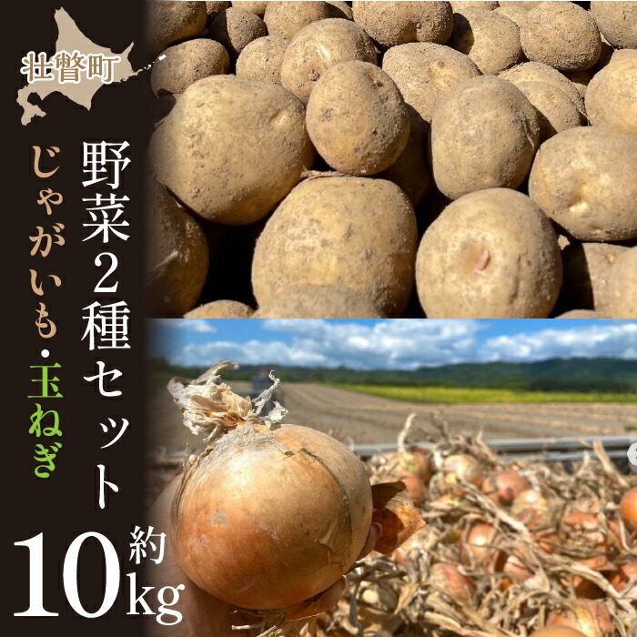 【ふるさと納税】＜2025年9月初旬よりお届け＞【農園直送】北海道壮瞥町産　清水農園の野菜2種セット（じゃがいも・玉ねぎ）計約10kg  ふるさと納税 人気 おすすめ ランキング じゃがいも ジャガイモ 玉葱 玉ねぎ たまねぎ タマネギ セット 北海道 壮瞥町 送料無料 SBTO010
