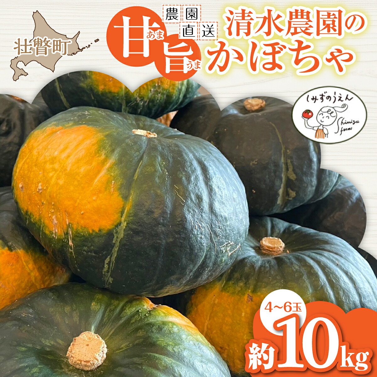 【ふるさと納税】＜2026年9月初旬よりお届け＞【農園直送】清水農園のかぼちゃ(甘旨）約10kg (4～6玉) ふるさと納税 人気 おすすめ ランキング かぼちゃ カボチャ 南瓜 野菜 甘い ほくほく しっとり北海道 壮瞥町 送料無料 SBTO013｜北海道壮瞥町