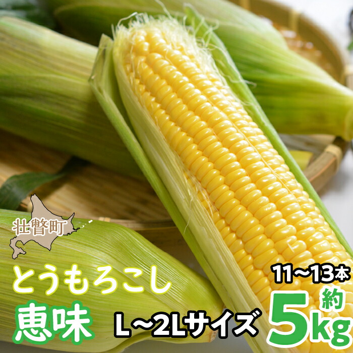 【ふるさと納税】＜2025年8月初旬よりお届け＞約5kg！北海道壮瞥産とうもろこし（恵味）【Ｌ～2Lサイズ 11～13本】【 ふるさと納税 人気 おすすめ ランキング トウモロコシ とうもろこし 恵味 野菜 甘い 北海道 壮瞥町 送料無料 】SBTP002