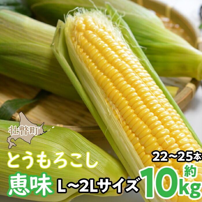 【ふるさと納税】＜2025年8月初旬よりお届け＞約10kg！北海道壮瞥産とうもろこし（恵味）【Ｌ～2Lサイズ 22～25本】ふるさと納税 人気 おすすめ ランキング トウモロコシ とうもろこし 恵味 野菜 甘い 北海道 壮瞥町 送料無料   SBTP006