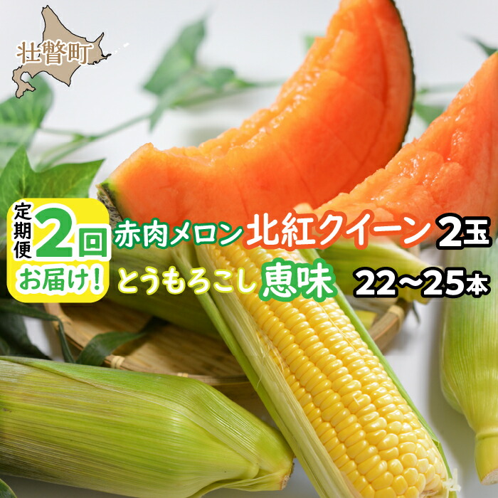【ふるさと納税】＜2025年7月よりお届け＞2回お届け！赤肉メロン2玉ととうもろこし（恵味）22～25本  ふるさと納税 人気 おすすめ ランキング メロン めろん トウモロコシ とうもろこし 野菜 果物 甘い 定期便 北海道 壮瞥町 送料無料 SBTP007