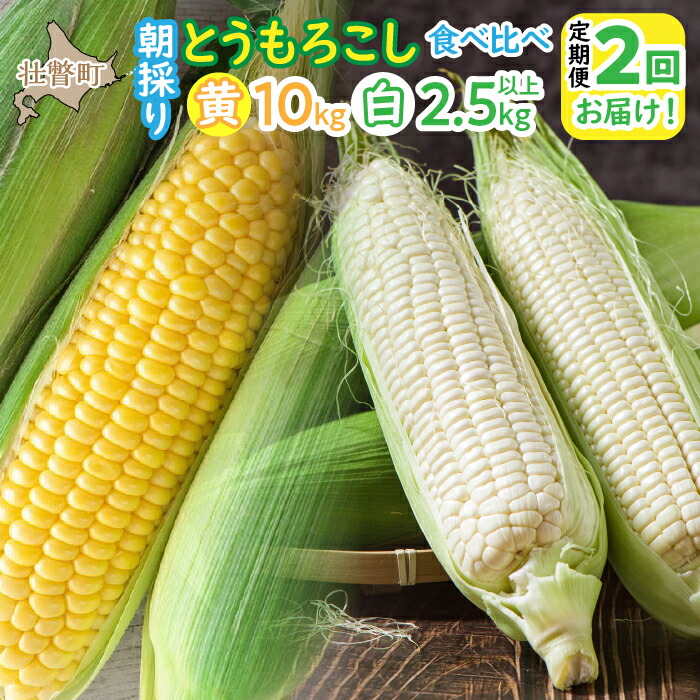 【ふるさと納税】北海道壮瞥町 2回 定期便 8月・9月朝採り！産地直送 北海道壮瞥町産 とうもろこし黄・白 食べ比べ  ふるさと納税 人気 おすすめ ランキング トウモロコシ とうもろこし ホワイトコーン ピュアホワイト 白い 野菜 甘い 定期便 北海道 壮瞥町 送料無料 SBTP011