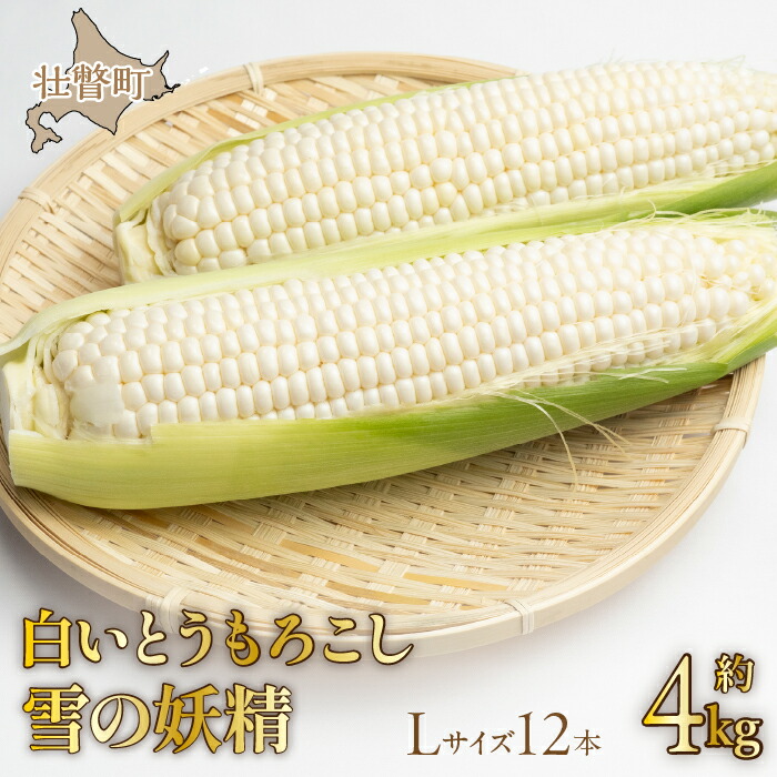 【ふるさと納税】＜2025年9月上旬よりお届け＞【朝採り】北海道壮瞥産 白いとうもろこし「雪の妖精」Lサイズ12本(約4kg) ふるさと納税 人気 おすすめ ランキング ホワイトコーン 雪の妖精 白い 白 トウモロコシ とうもろこし 野菜 甘い 北海道 壮瞥町 送料無料 SBTQ001