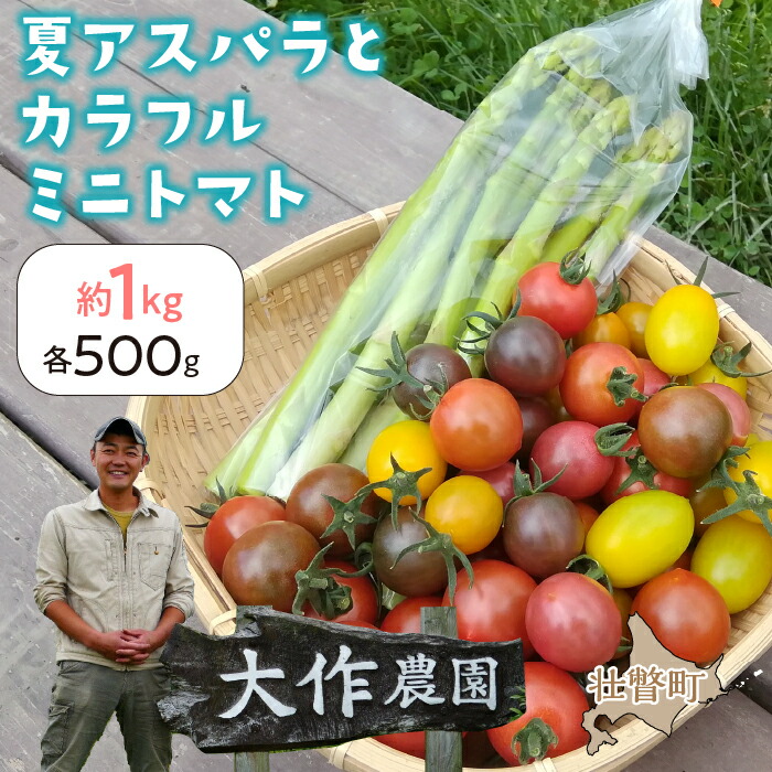 【ふるさと納税】＜2025年7月上旬よりお届け＞北海道壮瞥町産　大作農園「夏アスパラとカラフルミニトマト」のセット約1kg 先行予約 ふるさと納税 人気 おすすめ ランキング アスパラ あすぱら トマト とまと ミニトマト 野菜 セット 北海道 壮瞥町 送料無料 SBTR004