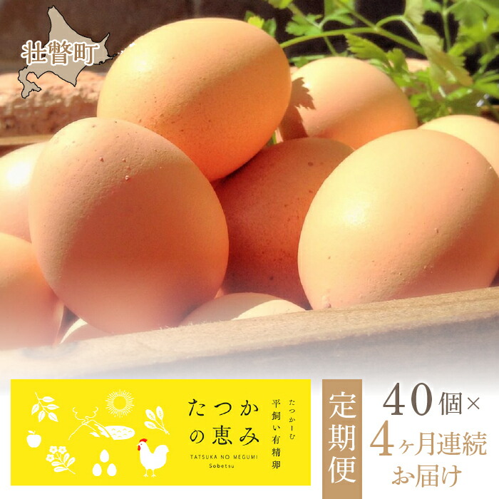 【ふるさと納税】平飼い有精卵『たつかの恵み』40個×4ヶ月連続お届け 【 ふるさと納税 人気 おすすめ ランキング 卵 たまご タマゴ たまごかけご飯 目玉焼き ゆでたまご 卵焼き 定期便 北海道 壮瞥町 送料無料 】 SBTT003