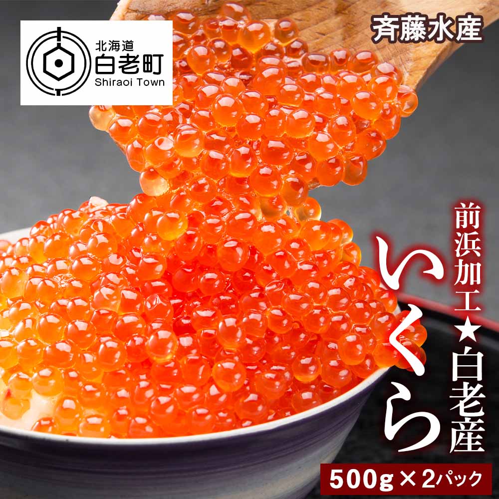 ふるさと納税 前浜加工 白老作成いくら 500g 2小包 斉藤水産 いくら イクラ フィッシュ鶏卵 海産物 北海道ふるさと納税 白老 ふるさと納税 北海道 Am033 Mattschofield Com