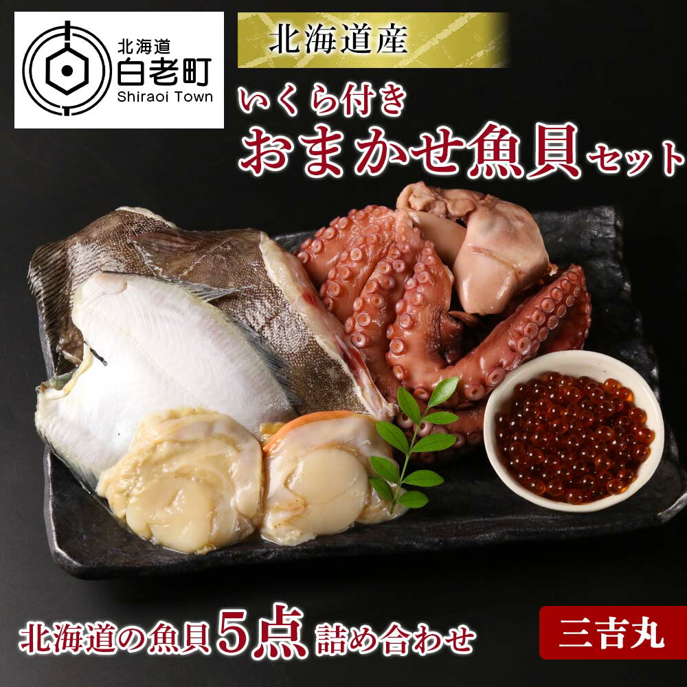 引出物 北海道産いくら付きおまかせ魚貝セットタコ ホタテ カレイ イクラ いくら醤油漬け しょうゆ漬け 訳あり 北海道ふるさと納税 白老 ふるさと納税  北海道 fucoa.cl