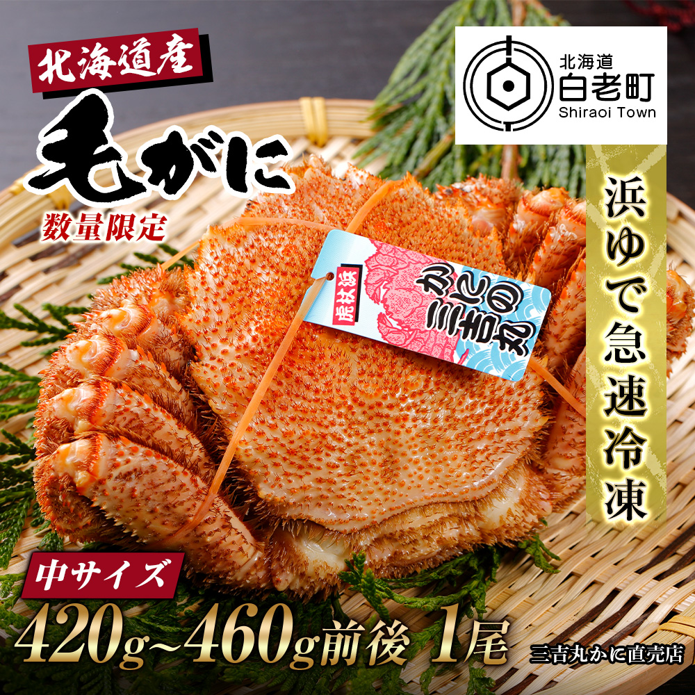 63％以上節約 北海道産 冷凍ボイル毛ガニ 420g-460g前後 1尾毛がに 毛ガニ 毛蟹 蟹 カニ 北海道ふるさと納税 白老 ふるさと納税 北海道  fucoa.cl