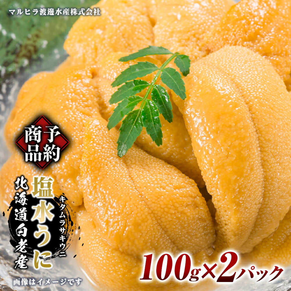 【ふるさと納税】2025年 発送予約 ウニ本来の味が楽しめる【白老産】塩水ムラサキウニ 100g×2パック BT008<br>白老町 ふるさと納税 北海道ふるさと納税 ウニ 北海道 ウニ うに 雲丹 むらさきうに 塩水 塩水ウニ
