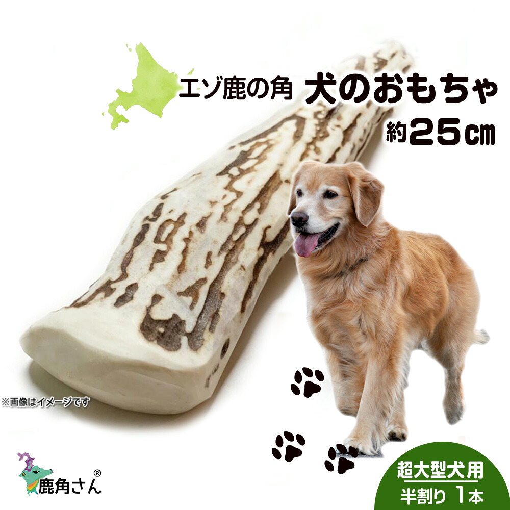 寸法押さえる 春の三大蟹公明正大執り行なう！ 白老町