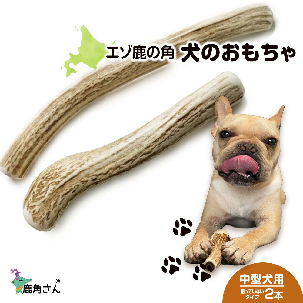 寸法押さえる 春の三大蟹公明正大執り行なう！ 白老町