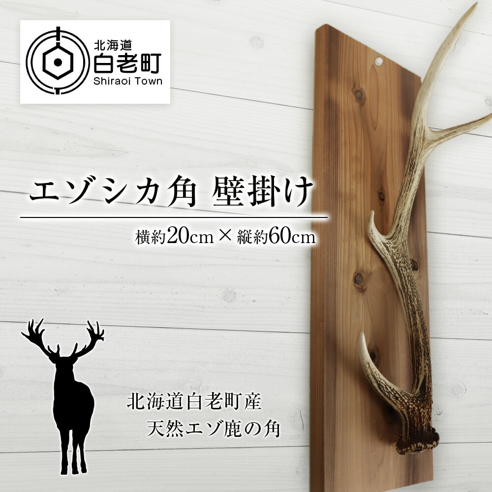 蝦夷鹿の角（北海道白老産）6本 sd2_6cb0495dbccf27ecc1e4170eed