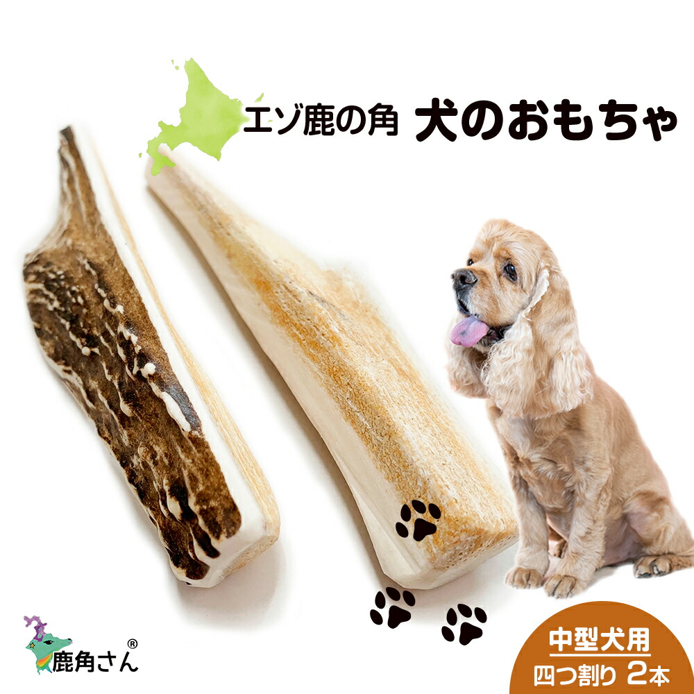 寸法押さえる 春の三大蟹公明正大執り行なう！ 白老町