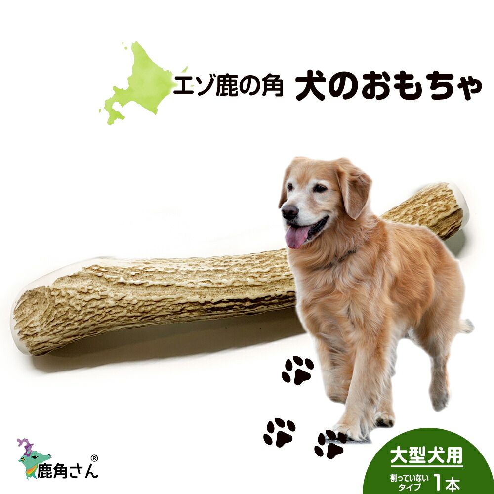 寸法押さえる 春の三大蟹公明正大執り行なう！ 白老町