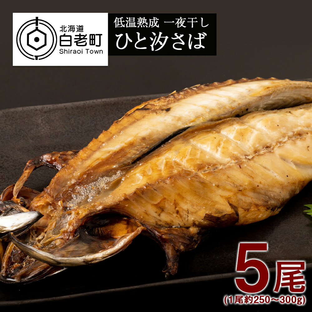 楽天市場】【ふるさと納税】低温熟成 一夜干し 特大 真ほっけ 2 楽天市場】【ふるさと納税】低温熟成 一夜干し 特大 真ほっけ 2