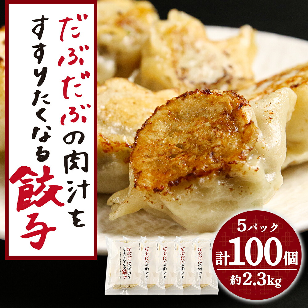 【ふるさと納税】だぶだぶの肉汁をすすりたくなる餃子 100個（20個入×5パック） 餃子 肉料理 ぎょうざ ギョウザ 惣菜 北海道ふるさと納税 白老 ふるさと納税 北海道