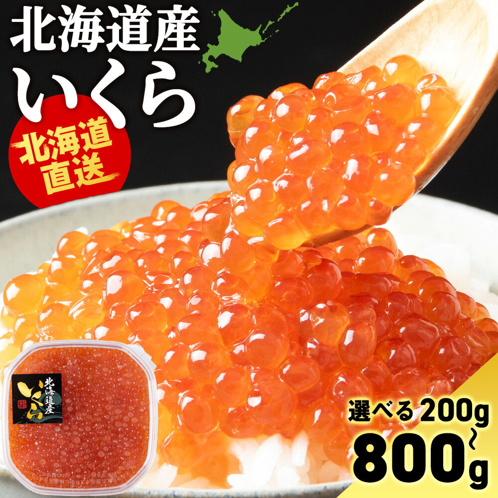 【ふるさと納税】いくら醤油漬け 選べる400g～800g 1パック200g〈小田切水産〉いくら 醤油漬け 北海道 小分け<br>いくら イクラ 魚卵 醤油漬け しょうゆ漬 海産物 北海道ふるさと納税 白老 ふるさと納税 北海道
