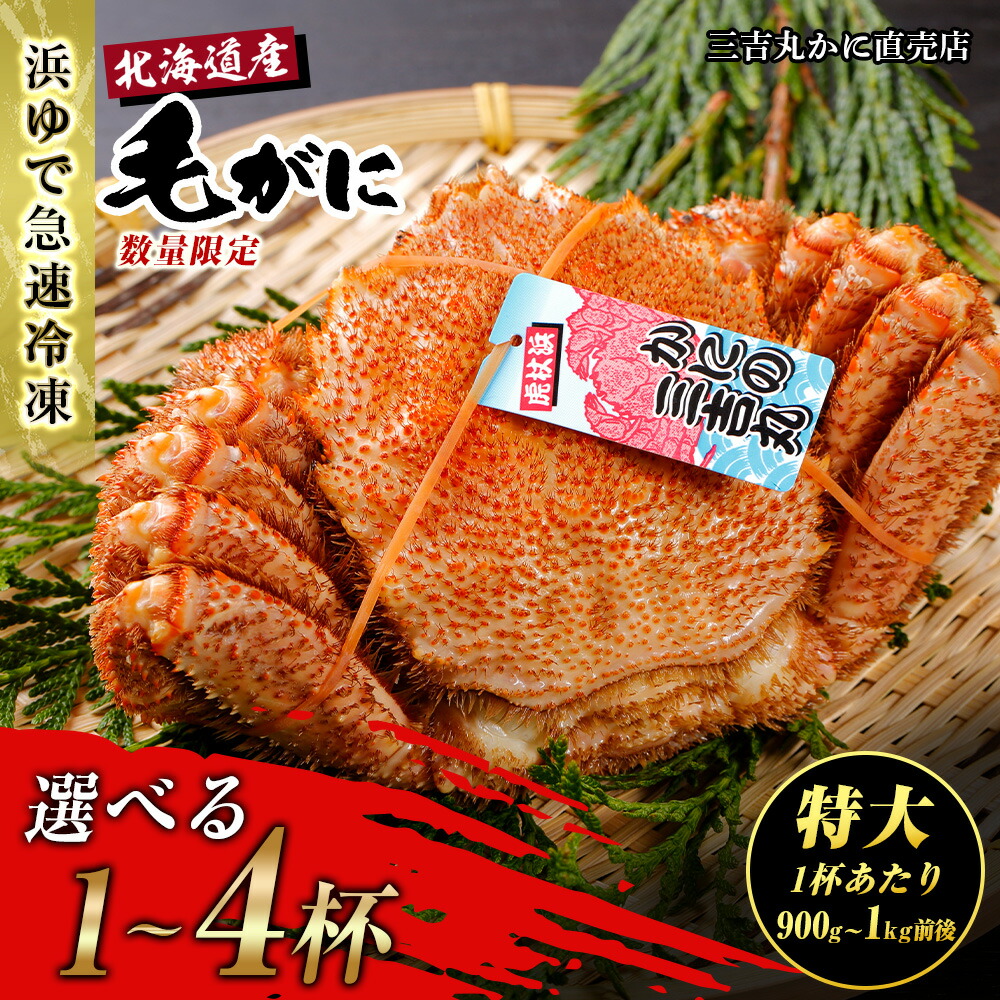 【ふるさと納税】【特大】 北海道産 冷凍ボイル 毛ガニ 選べる1尾～4尾 (1尾900g-1kg前後) 蟹 かに カニ 毛ガニ AS119<br>毛がに 毛ガニ 毛蟹  蟹 カニ 北海道ふるさと納税 白老 ふるさと納税 北海道 おせち 年末