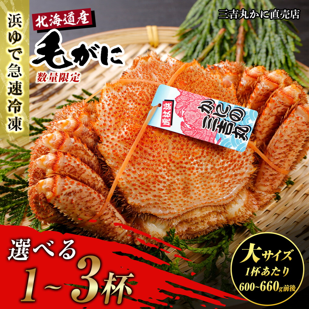 【ふるさと納税】【大サイズ】北海道産 冷凍ボイル毛ガニ 選べる1尾～3尾 (1尾600g-660g前後)<br>毛がに 毛ガニ 毛蟹  蟹 カニ 北海道ふるさと納税 白老 ふるさと納税 北海道 年末