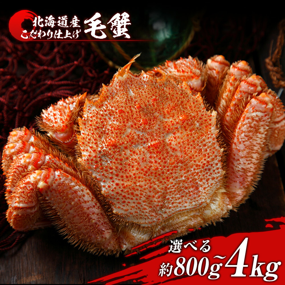 【ふるさと納税】毛蟹 ボイル済み 冷凍 選べる1尾～5尾セット 1尾約800g BM284 ボイル 毛がに 毛ガニ 毛蟹 ボイル 蟹 カニ 北海道ふるさと納税 白老 ふるさと納税 北海道 年末 96,800円