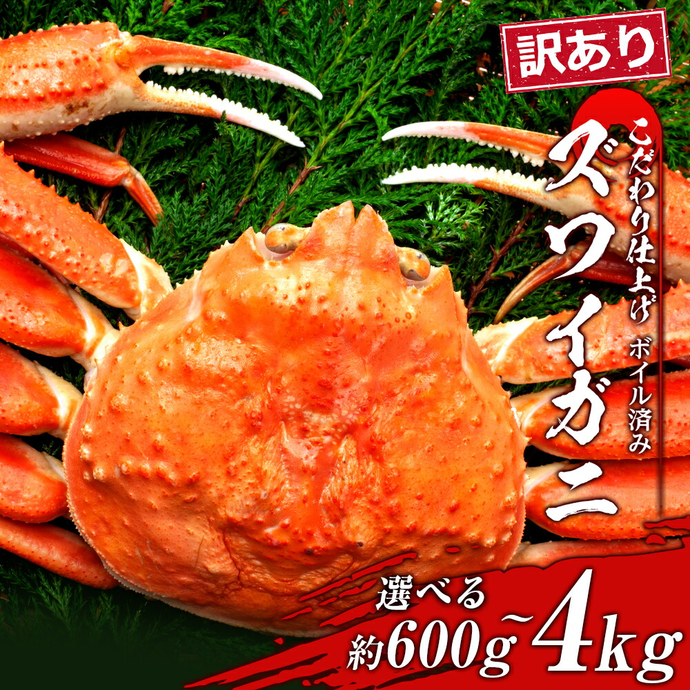 <br>【ふるさと納税】訳あり ズワイガニ 姿 ボイル 済 冷凍 選べる約600g～4kg 1尾～5尾 ずわい 蟹 カニ<br>ずわいがに ズワイガニ ずわい蟹 ずわいガニ ズワイかに ずわいカニ 蟹 姿 カニ ボイル ズワイ姿 北海道ふるさと納税 白老 ふるさと納税 北海道 年末