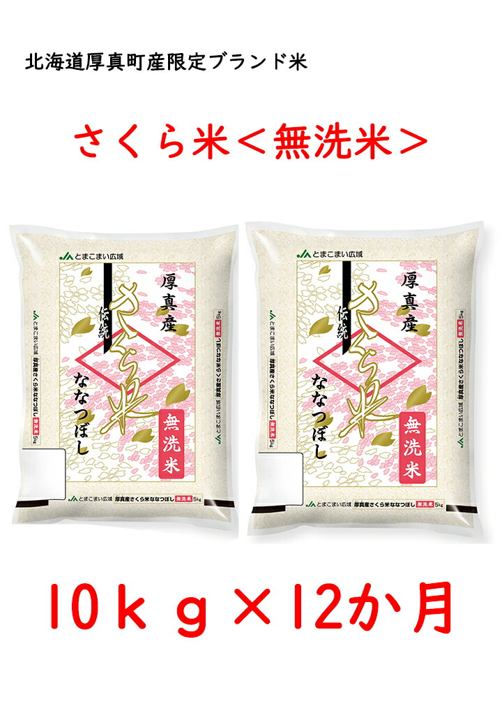 ◇コクヨ クリヤーブック 替紙式 A4縦 青 10冊 EM-RA315BX10◇