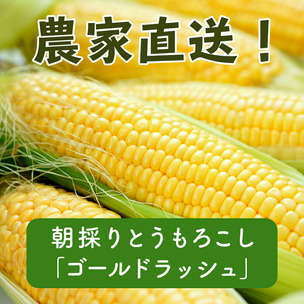 北海道厚真産とうもろこし ゴールドラッシュ