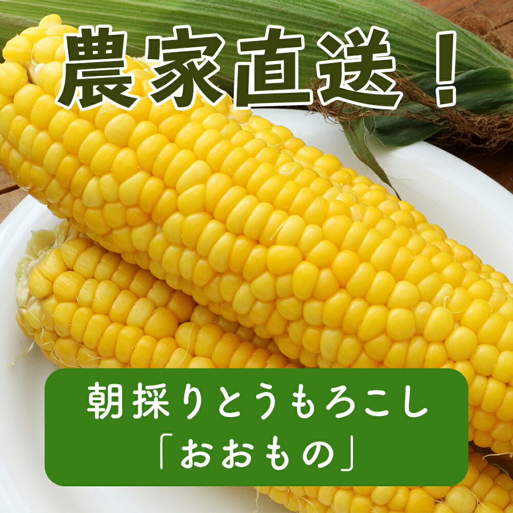 【ふるさと納税】【数量限定！8月末発送予定】北海道厚真産とうもろこし『おおもの』《厚真町》【(株)厚真ファーム】[AXAE001]