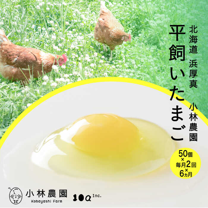 【ふるさと納税】【月2回・全12回定期便】こだわりの無投薬･平飼い有精卵 50個《厚真町》【テンアール株式会社】 たまご 卵 鶏卵 玉子 生卵 平飼い 北海道 定期便[AXAN022]