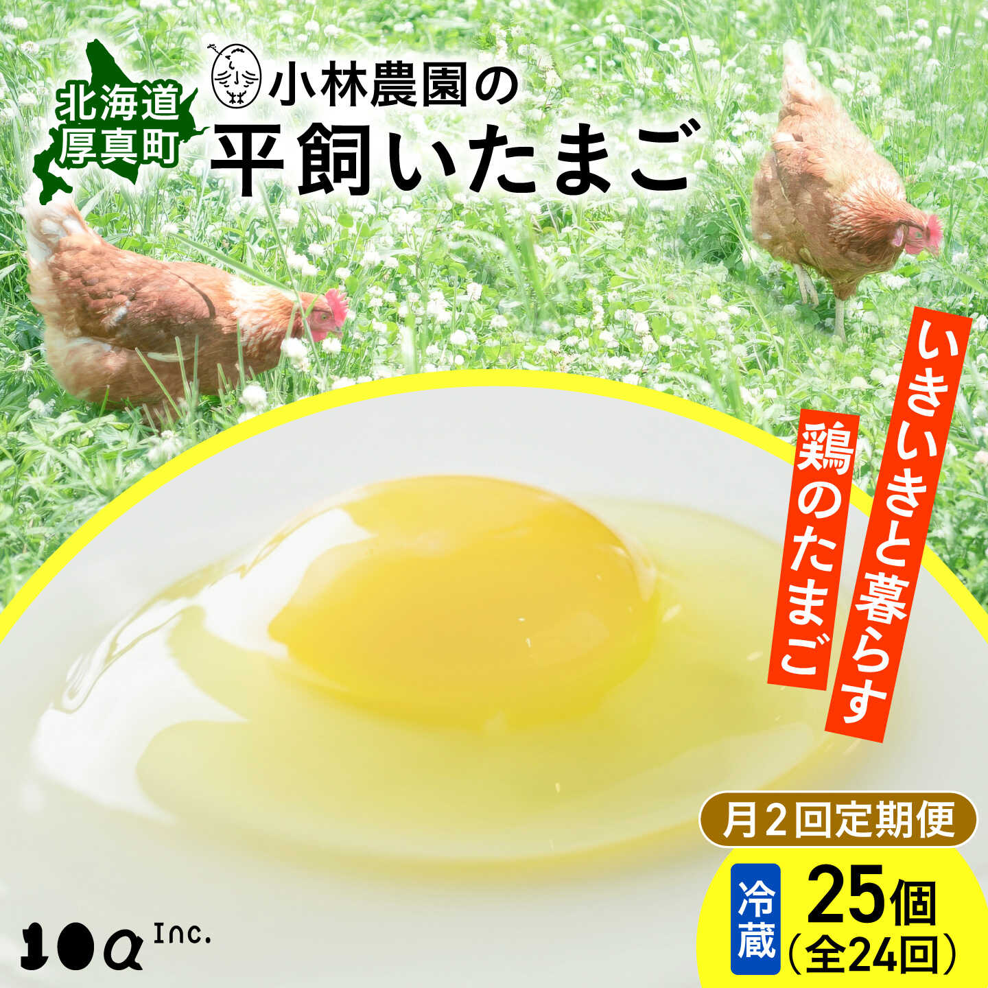 【ふるさと納税】【月2回・全24回定期便】こだわりの無投薬･平飼い有精卵 25個《厚真町》【テンアール株式会社】 たまご 卵 鶏卵 玉子 生卵 平飼い 北海道 定期便[AXAN028]