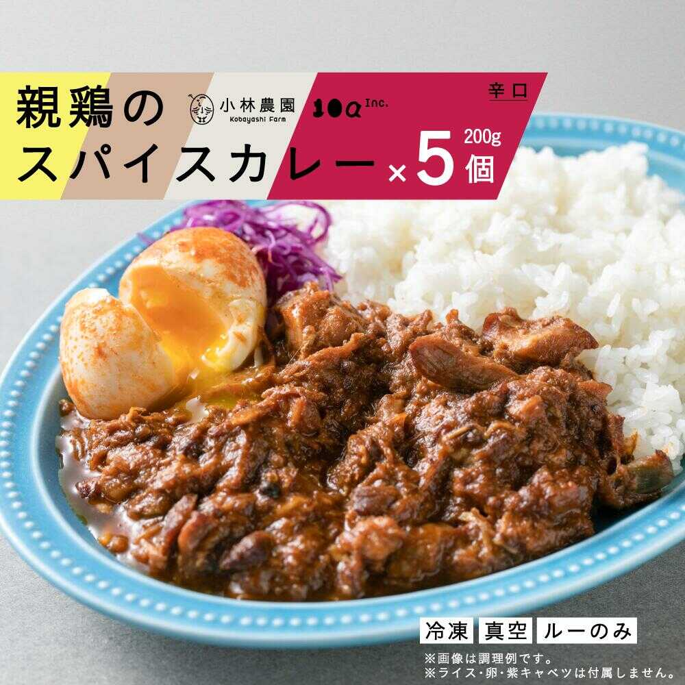 【ふるさと納税】【全12回定期便】親鶏のスパイスカレー 5個（辛口）《厚真町》【テンアール株式会社】 カレー スパイスカレー 辛口 鶏 鶏肉 平飼い 冷凍配送 北海道[AXAN088]