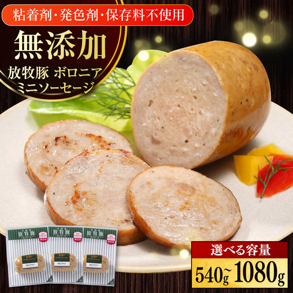 【ふるさと納税】放牧豚 ボロニアミニソーセージ 容量選べる！540g・1080g 《厚真町》　【ファーマーズファクトリー株式会社】[AXBA106/AXBA107] 無添加 ソーセージ ハム 無塩せき オードブル パーティー おつまみ おかず お弁当 北海道
