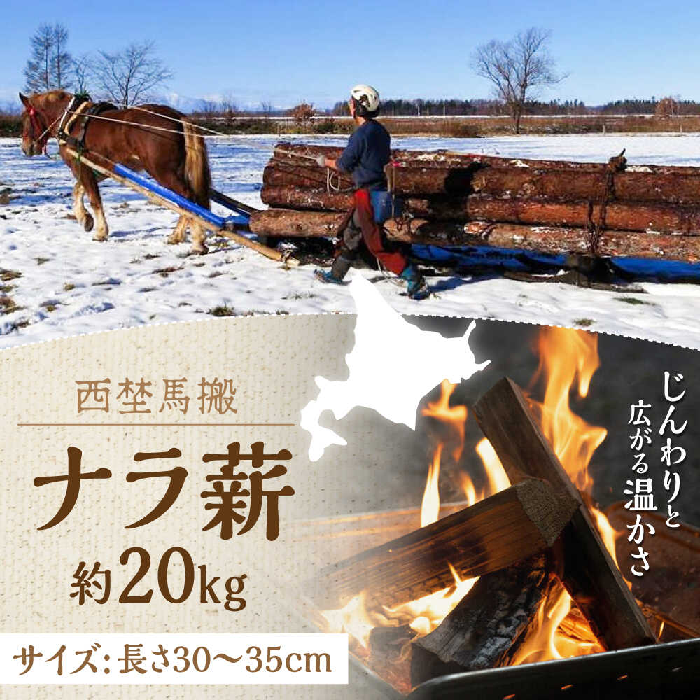 【ふるさと納税】乾燥 ナラ薪 20kg《厚真町》【西埜馬搬】 薪 まき 薪ストーブ 燃料 木材 ストーブ キャンプ 焚き火 焚火 北海道 [AXBE001] 9,940円
