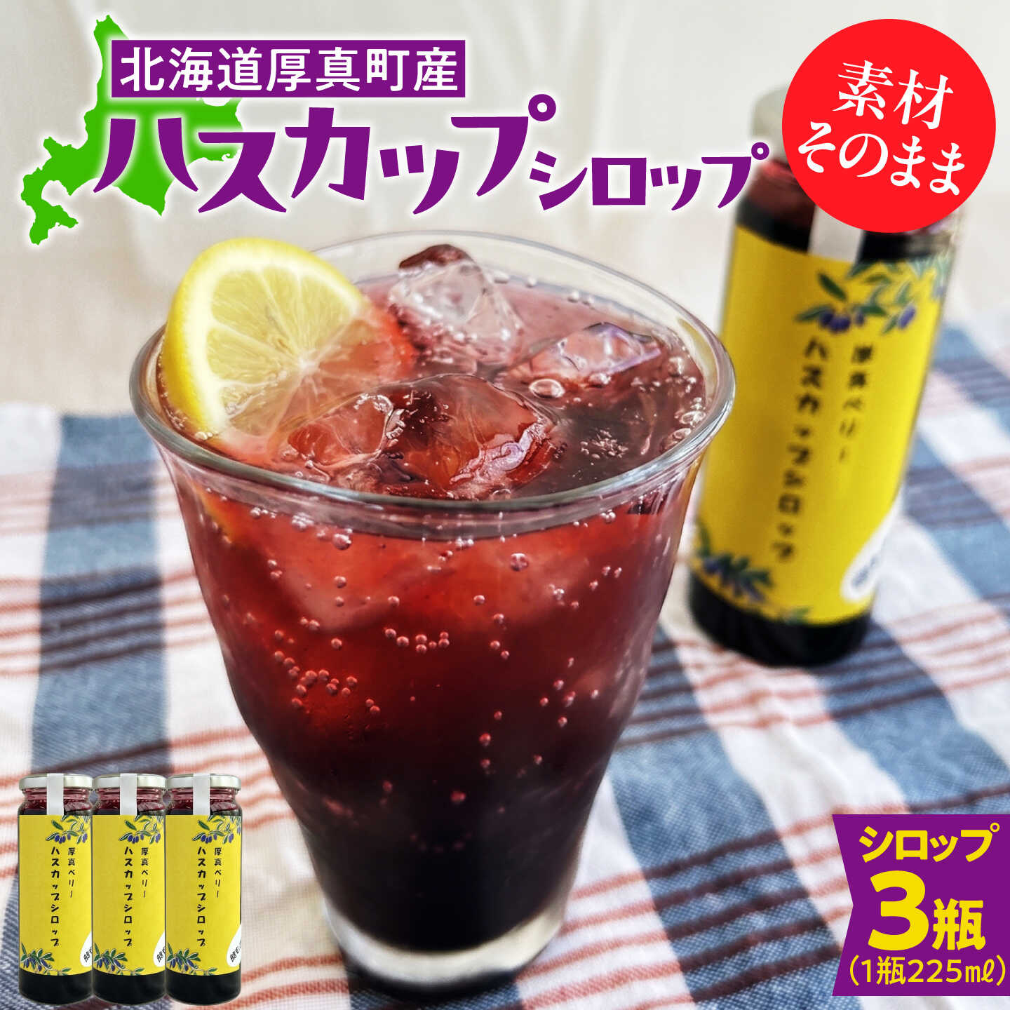 【ふるさと納税】北海道厚真町産ハスカップシロップ3瓶セット《厚真町》【株式会社知熊屋】 [AXBN004]