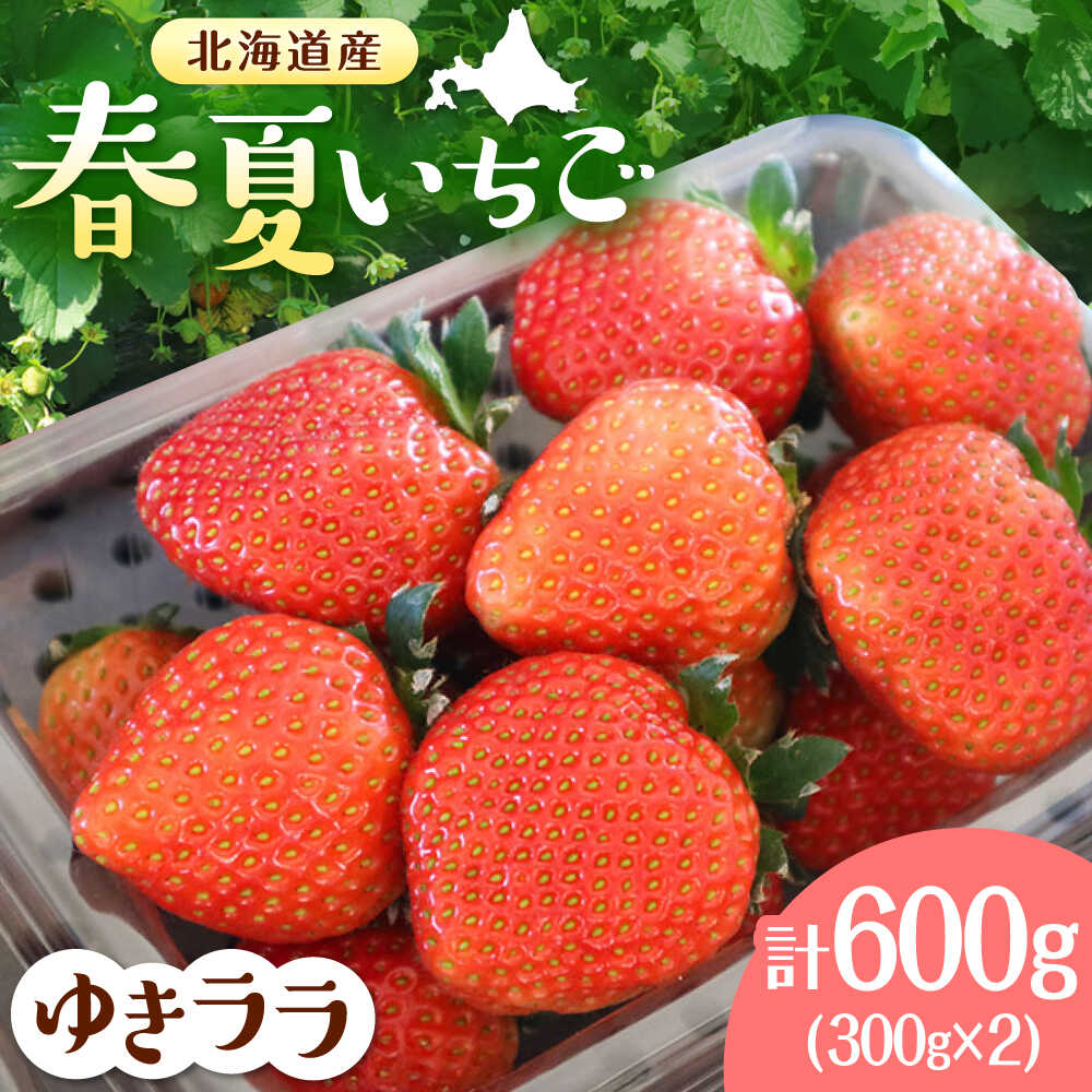 【ふるさと納税】【先行予約 2026年5月発送！】春夏イチゴ「ゆきララ」計600g 【こばやしいちご農園】[AXBT002] 春いちご 夏いちご 苺 イチゴ 北海道