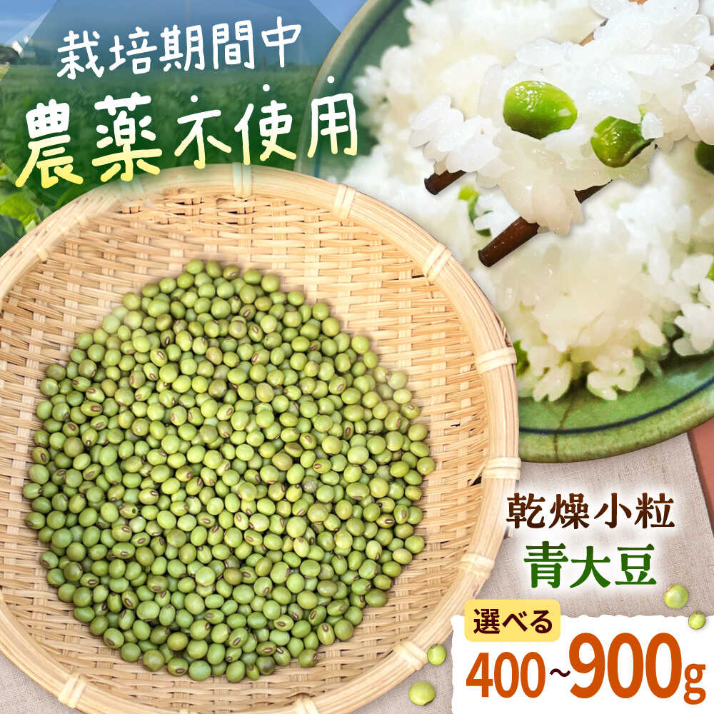 【ふるさと納税】《農薬不使用》乾燥小粒青大豆（品種：黒神）《厚真町》【ekam】 大豆 豆 オーガニック 農薬不使用 有機JAS認証 青大豆 乾燥大豆 北海道 [AXBV001]画像