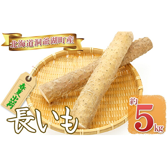 楽天ランキング1位 楽天市場 ふるさと納税 長いも 秋冬出荷 約5kg 野菜 野菜セット お届け 21年11月中旬 22年3月下旬まで 北海道洞爺湖町 新発売の Prestomaalaus Fi