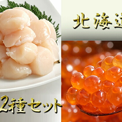 ふるさと納税 北海道噴火湾産 刺身用ほたて貝柱約1kgといくら醤油漬け250g 海鮮2種セット 魚介類 貝 刺身用ほたて貝柱 ホタテ いくら醤油漬け いくら イクラ 北海道洞爺湖町 有志からなる 山登さんは現地の青年海外協 Diasaonline Com